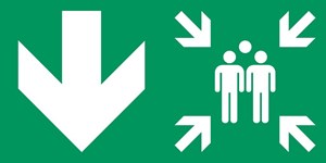 Point de rassemblement flèche gauche bas - Pictogramme