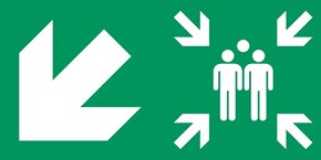 Point de rassemblement flèche gauche diagonale bas - Pictogramme