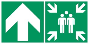Point de rassemblement flèche gauche haut - Pictogramme