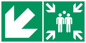 Point de rassemblement flèche gauche diagonale bas - Pictogramme