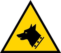 Chien de garde