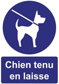 Chien tenu en laisse