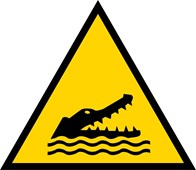Crocodiles alligators ou caïmans