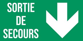 Sortie de secours flèche bas