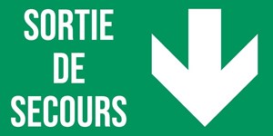 Sortie de secours flèche bas
