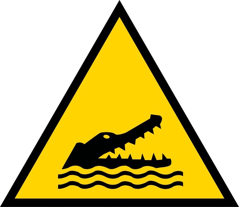 Crocodiles alligators ou caïmans