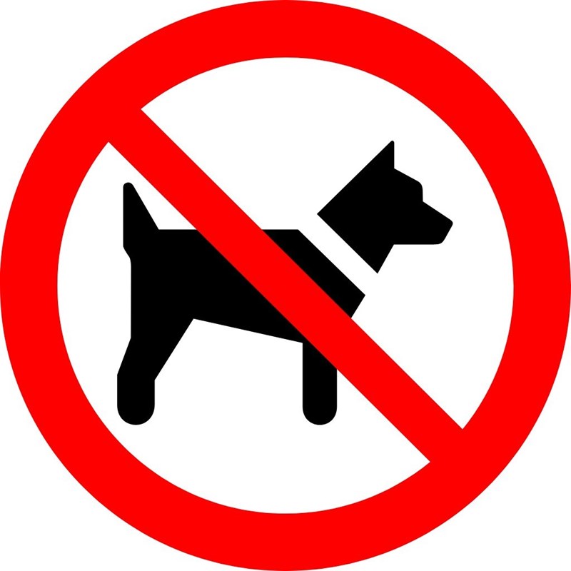Interdit aux animaux domestiques